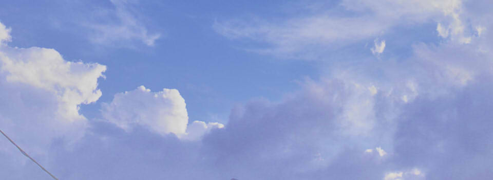 金坂社労士事務所